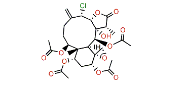 Robustolide H